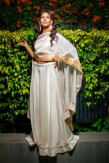 Moonlit Ivory Lehenga Set