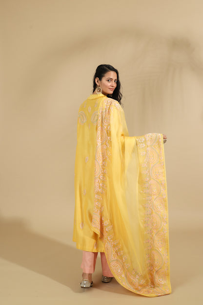 The Saffron Paisley Embroidered Silk Set