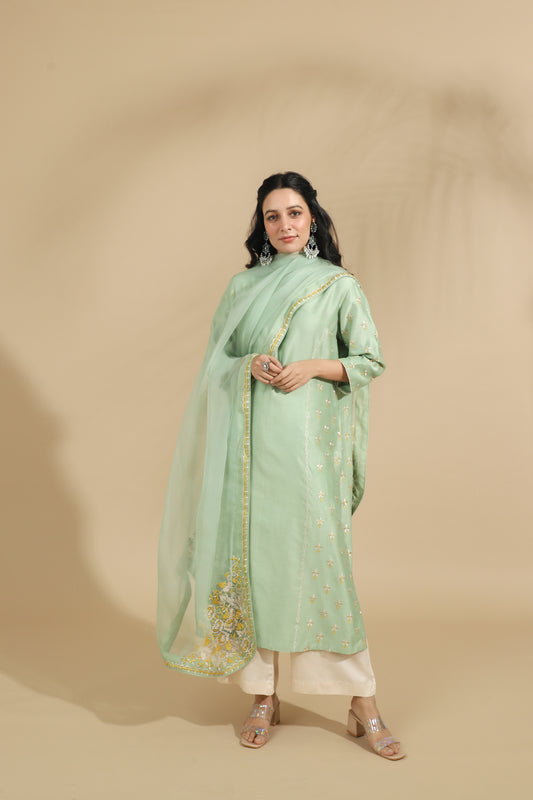 The Pistachio Petal Embroidered Silk Set