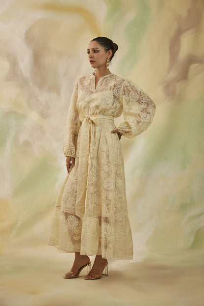 Serene Embroidered Long Sleeve Midi